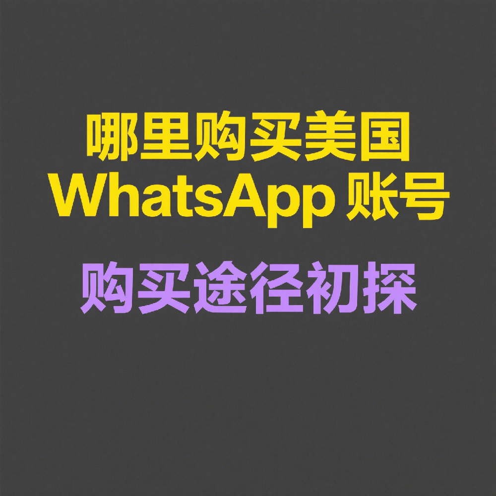 哪里购买美国WhatsApp账号？定制高质量账号靠谱指南