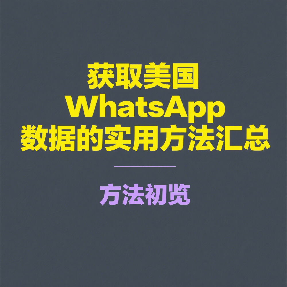 获取美国WhatsApp数据的实用方法汇总，轻松搞定营销资源