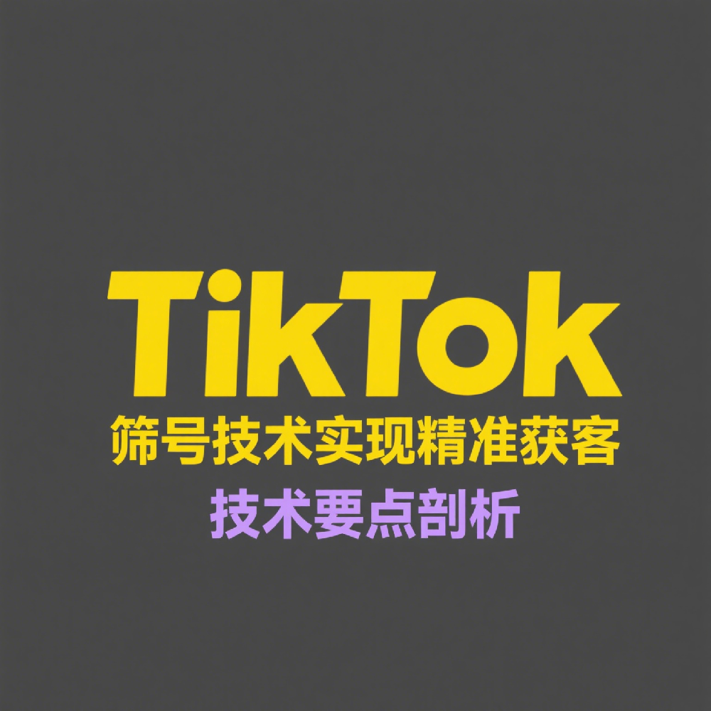 如何通过TikTok筛号技术实现精准获客