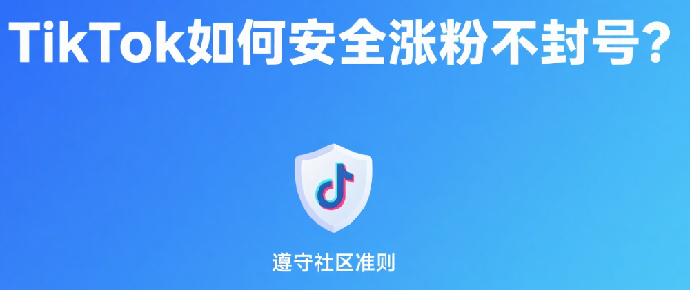 TikTok刷粉服务