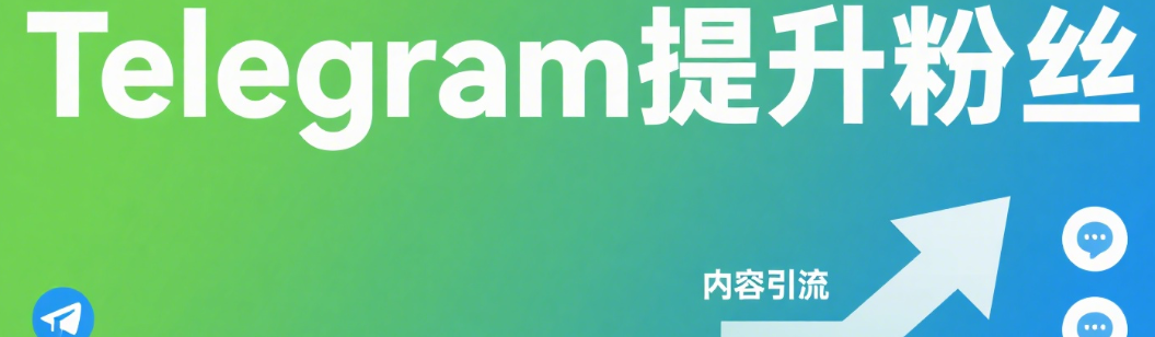 避坑又省钱的Telegram买粉入门指南
