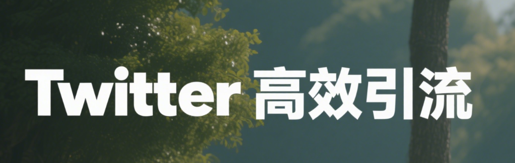 独立站如何用Twitter高效引流