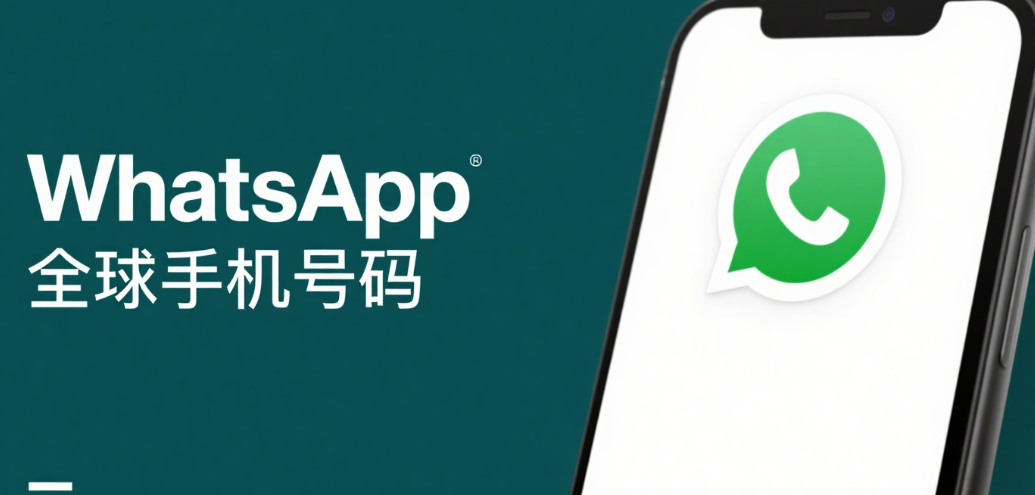 WhatsApp筛选工具